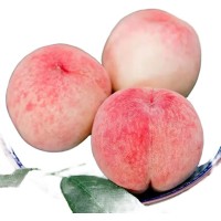 蒙陰水蜜桃紅桃子新鮮水果當季現(xiàn)摘整箱包郵軟脆桃毛桃一件代發(fā)